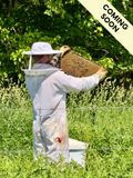 Raw Indiana Honey — 1 lb. Jar